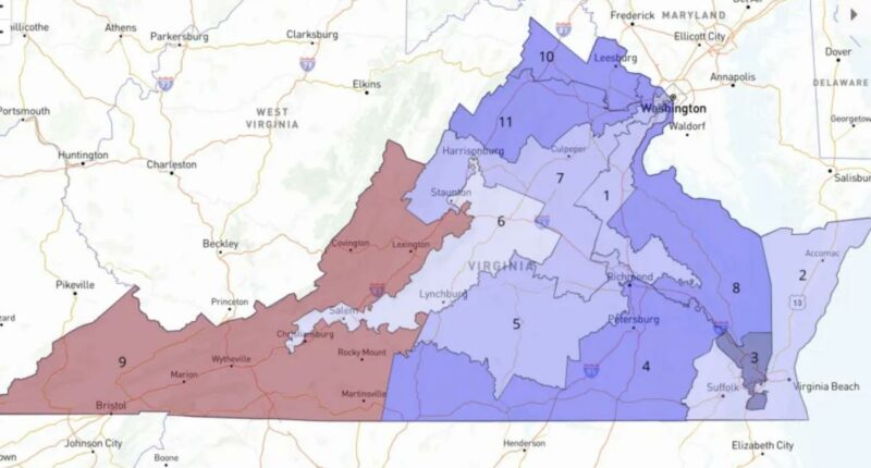 Virginia court pauses implementation of Democrat-drawn congressional mapÂ 