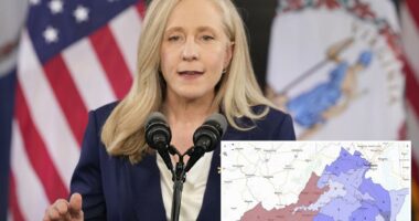 Virginia voters asked to approve the 'most gerrymandered' congressional districts in the US â here's what could happen