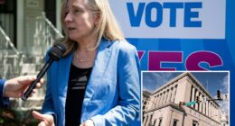 Virginia's top court pounds Dems over redistricting move called 'blatant power grab'