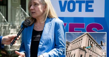 Virginia's top court pounds Dems over redistricting move called 'blatant power grab'