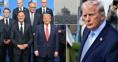 Voters split on Trump's threats to pull out of NATO over Hormuz fury