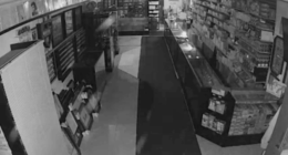 Thieves stealing from a small business in Chicago