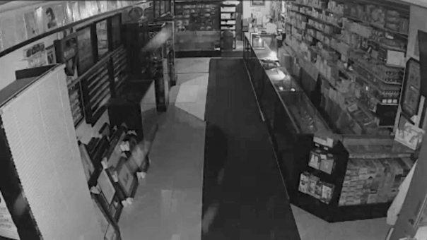 Thieves stealing from a small business in Chicago