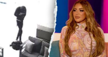 Wannabe burglars storm Real Housewives star’s mansion – only to get spooked by alarm, crash getaway car: cops