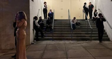 Washington media dinner shooting suspect is set for his first court appearance on federal charges