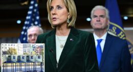 Watchdog, GOP lawmaker warn NY voter registration systems lacks key safeguards