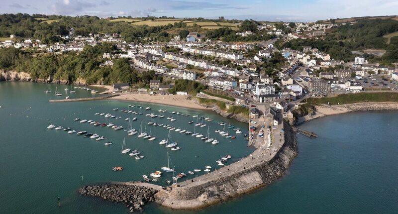 Welsh families challenge new homes amid 'Birmingham buyers' fears