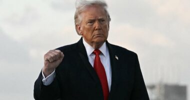 Wes Streeting tells Brits to ignore Donald Trump's 'outrageous' posts