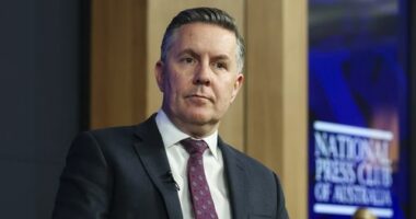 Health Minister Mark Butler announced the changes at the National Press Club today.