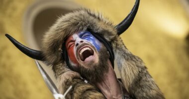 What does the 'QAnon Shaman' think of Trump now?