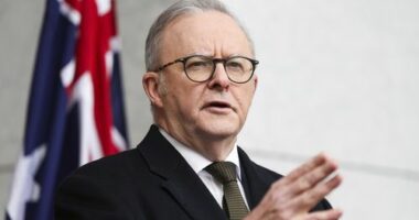 Prime Minister Anthony Albanese during a press conference at Parliament House in Canberra on Monday 11 August 2025. fedpol Photo: Alex Ellinghausen