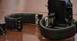 What we know about Swedish Hospital shooting suspect Alphanso Talley, accused of killing Chicago Police Officer John Bartholomew