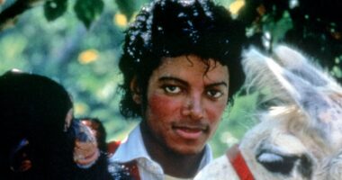 Where Michael Jackson's pet chimp is now as sanctuary gives update