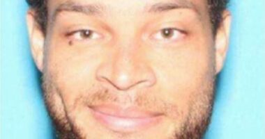 White House Correspondents' Dinner shooter MOCKED the lack of security