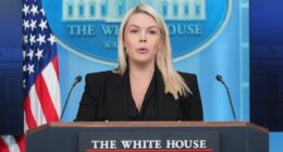 White House blames Democrats for 'inspiring violence' against Trump