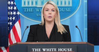 White House blames Democrats for 'inspiring violence' against Trump