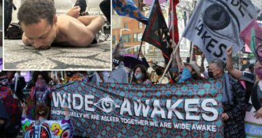 Who are 'The Wide Awakes,' leftist group WHCD gunman Cole Allen was supposedly a part of?