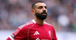 Who could YOUR club sign this summer? The stars who will be free agents after Bernardo Silva's Man City exit was confirmed - including three Man United players and European icons