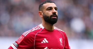 Who could YOUR club sign this summer? The stars who will be free agents after Bernardo Silva's Man City exit was confirmed - including three Man United players and European icons