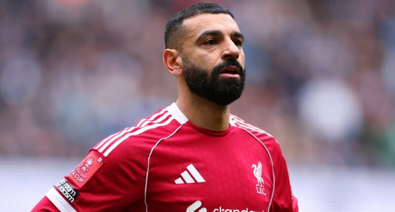 Who could YOUR club sign this summer? The stars who will be free agents after Bernardo Silva's Man City exit was confirmed - including three Man United players and European icons