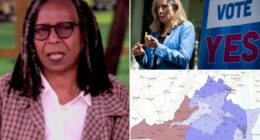 Whoopi Goldberg urges 'everybody stop with the redistricting' after landmark Virginia vote