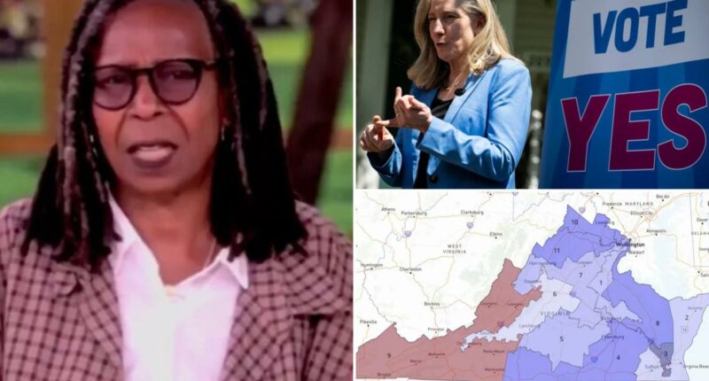 Whoopi Goldberg urges 'everybody stop with the redistricting' after landmark Virginia vote