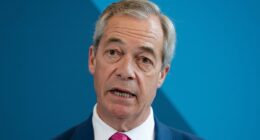 Why Reform are getting the local elections 'jitters': ANDREW PIERCE