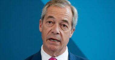 Why Reform are getting the local elections 'jitters': ANDREW PIERCE