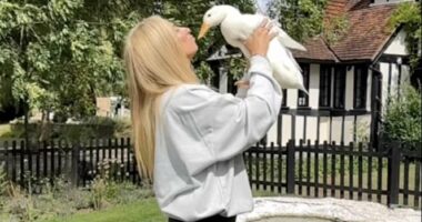 Why a pet duck has become the must-have accessory for the famous