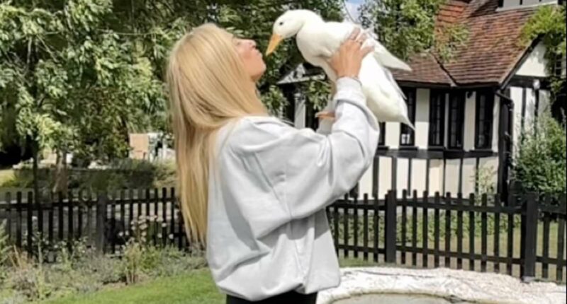 Why a pet duck has become the must-have accessory for the famous