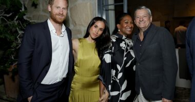 Why insiders believe 'cringe' Meghan and Harry photos were deleted
