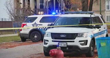 Widow, son of late Chicago commissioner found shot dead inside home in suspected homicide: reports