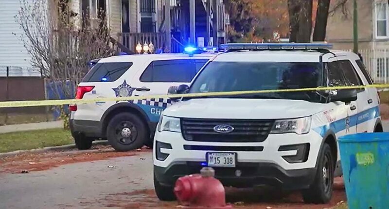 Widow, son of late Chicago commissioner found shot dead inside home in suspected homicide: reports