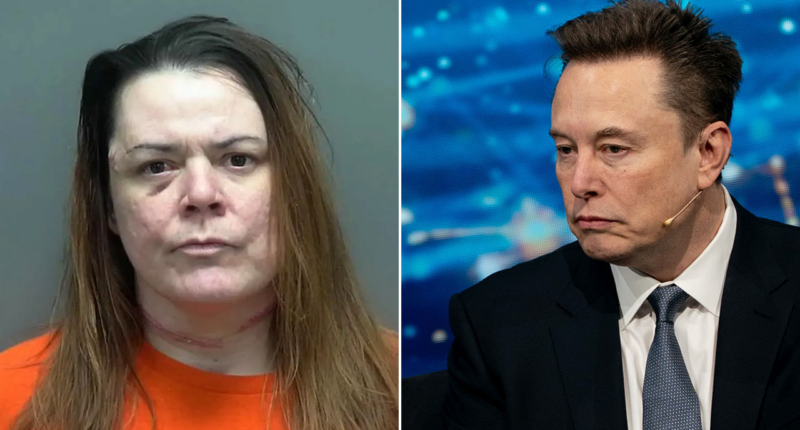 Wisconsin mother stabs teen daughter to death to 'protect' her from Elon Musk: authorities