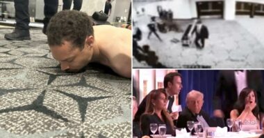 Witness describes the moment Cole Allen was taken down after White House Correspondents' Dinner shooting