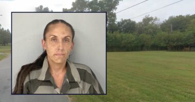 Woman allegedly abused and desecrated elderly mother's body