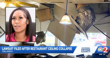 Woman at wing place with kid hit by falling ceiling: Suit