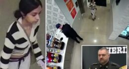 Woman claimed she was detained by ICE but was really at hotel: lawsuit