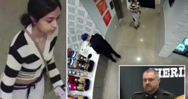 Woman claimed she was detained by ICE but was really at hotel: lawsuit