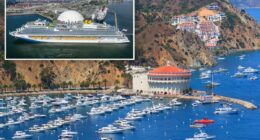 Woman falls to her death on Carnival cruise near Catalina Island
