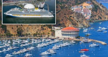 Woman falls to her death on Carnival cruise near Catalina Island