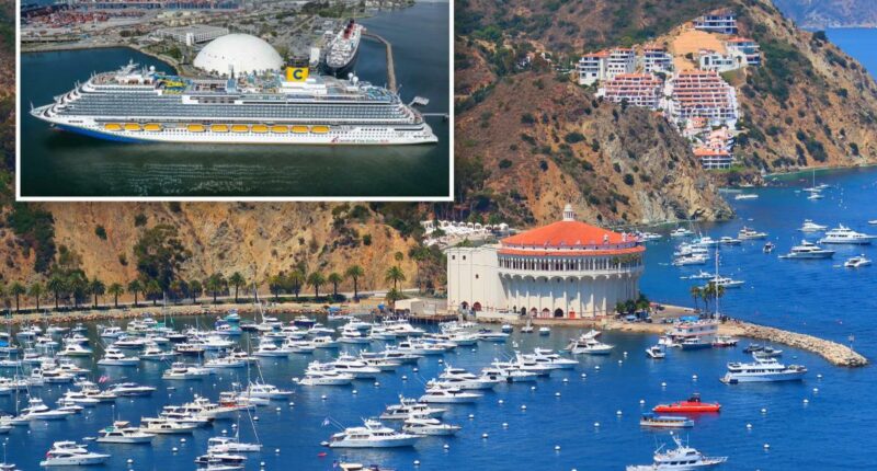 Woman falls to her death on Carnival cruise near Catalina Island