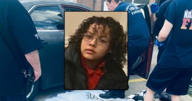 Woman follows her ex to McDonald's and shoots him: DA