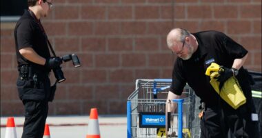 Woman grabs child in Walmart and slashes him with knife before officers fatally shoot her