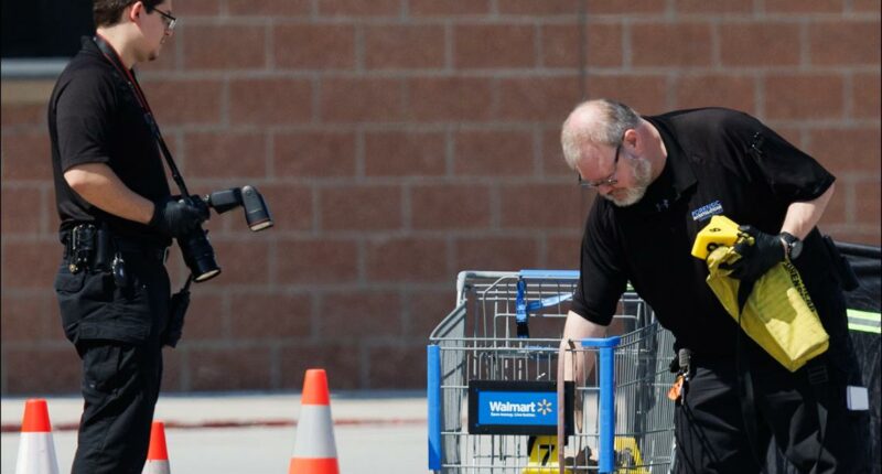Woman grabs child in Walmart and slashes him with knife before officers fatally shoot her