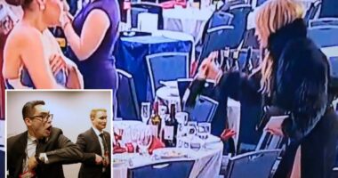 Woman seen snatching wine bottles in aftermath of White House Correspondents' Dinner shooting