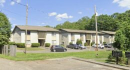 Woman stabbed boyfriend after argument over TV: Police