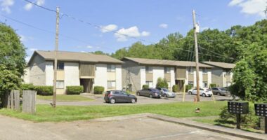 Woman stabbed boyfriend after argument over TV: Police