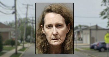 Woman threatened man with flaming pillow during an argument and said she would set his house on fire: Police