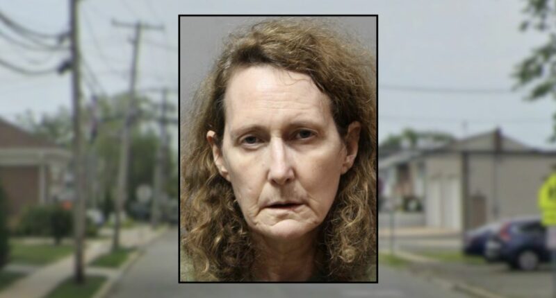 Woman threatened man with flaming pillow during an argument and said she would set his house on fire: Police
